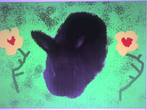 Rabit!!!!!!!!!!!!!!