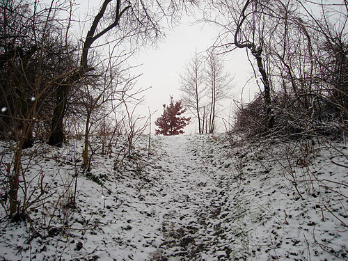 Bojkot.
