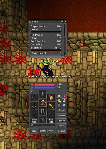 3 LvL