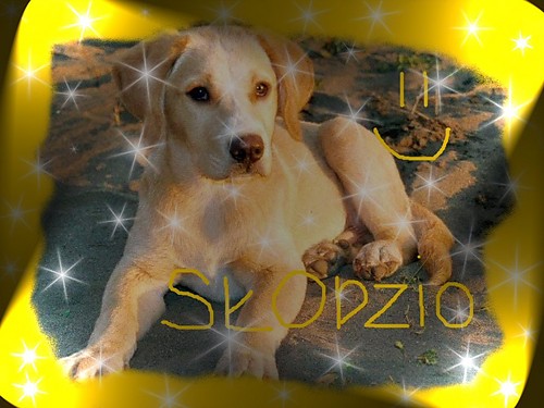 Hejeczka slodki...