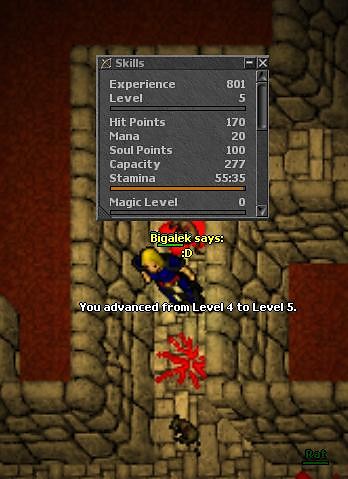 5 LvL