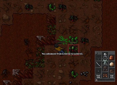 13 lvl