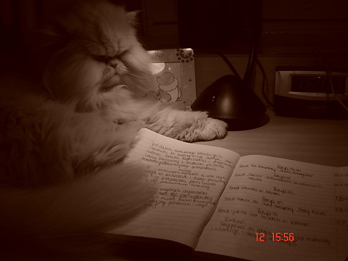 ...MY c@t...