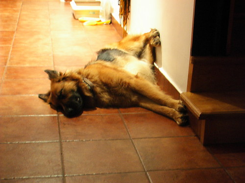 Jutro...;)