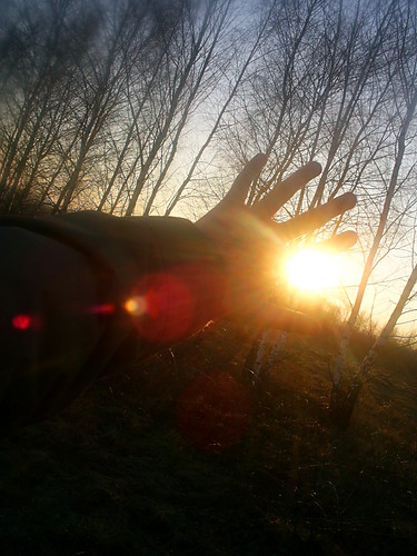 Fly away....