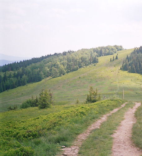 ot tak- dla wspomnienia.