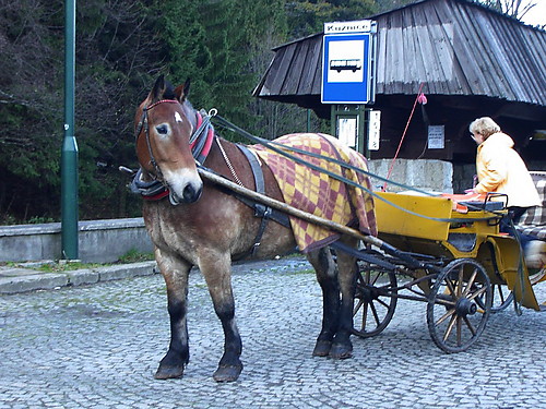 Przystanek