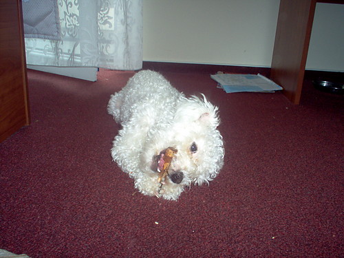 Daisy :*