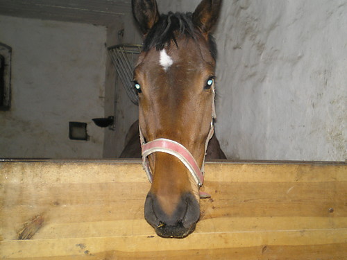 Derღ