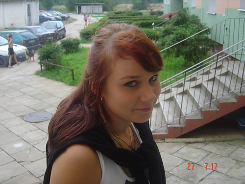 kotek