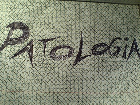 pato .. ;p