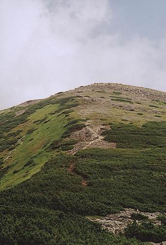 Sywula