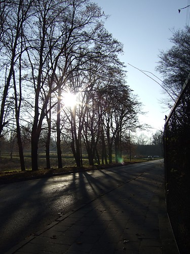 Bezsens