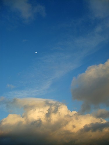 ...luna...