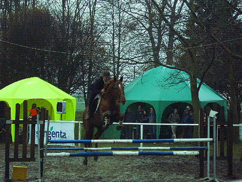 Alek