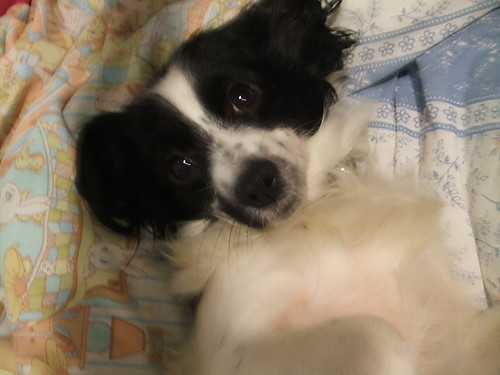 tinka