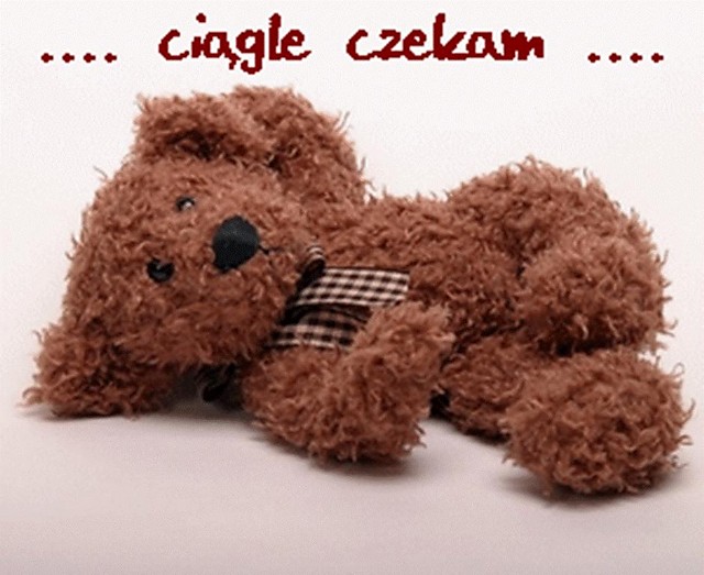 ciagle czekam...
