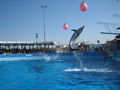  3,5 m.n.p. ...basenu..? (07'06)