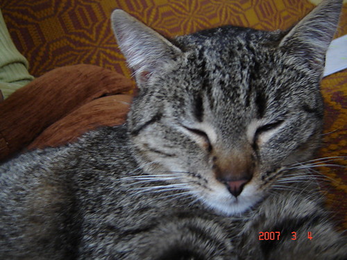 ....demka...
