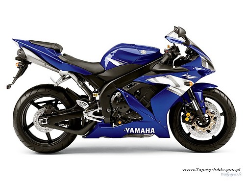 motorek:D