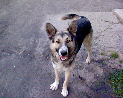 ..;;witam na moim photoblogu:;..