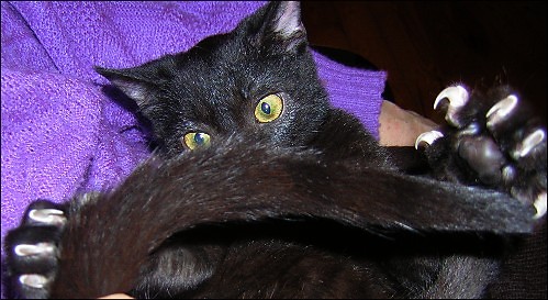 Misia I