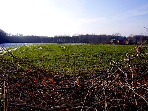 Kocham Buecke :P