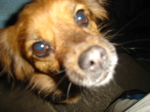 MISIA !