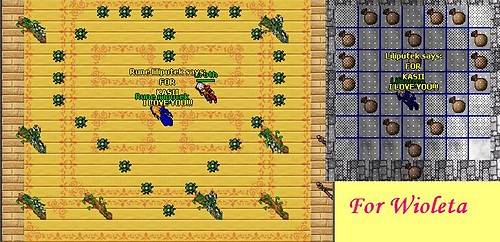 Tibia a RL mio