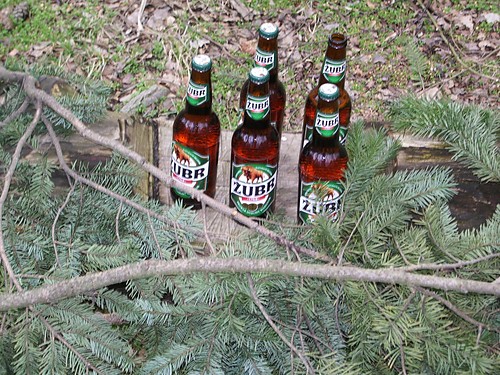 ubr w Trawie Puszczy 
