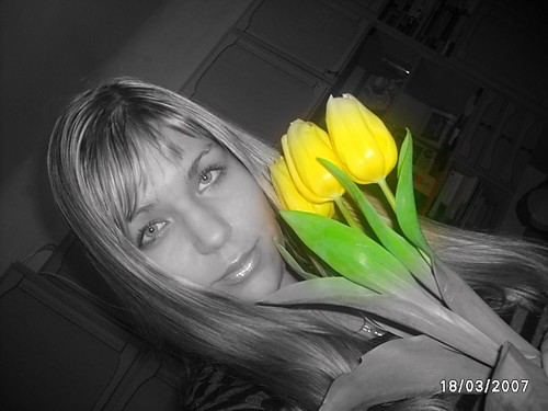 Tulipany:):):):)