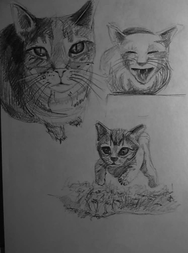 my pictures number 2.