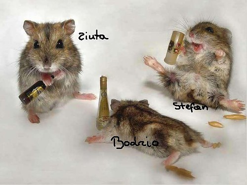 buehahahahahahaaa