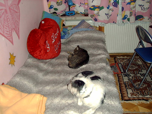 Dziurbas&Szajbus