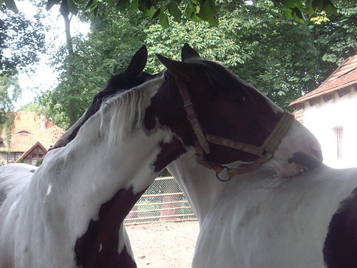 SweEet LoOoVe =*