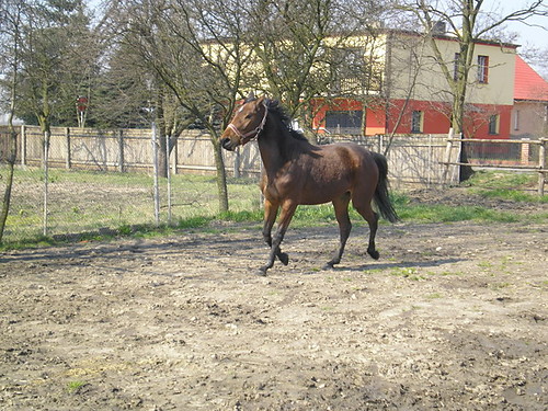 Dora:*