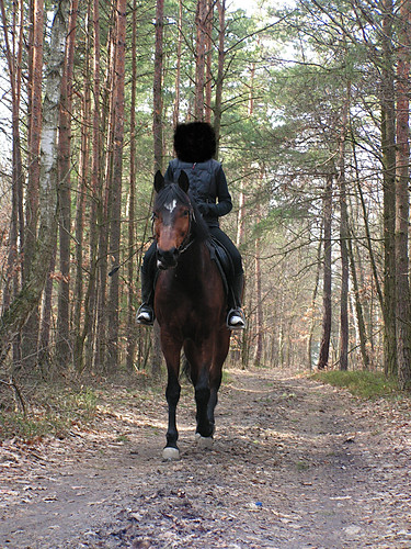 Ja na Liberii