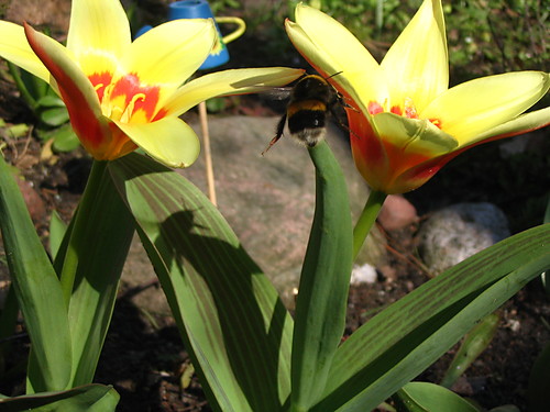 bzzzzzzzzzzzzzzzz