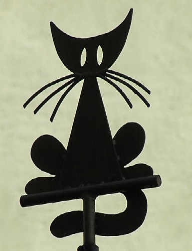 kotek