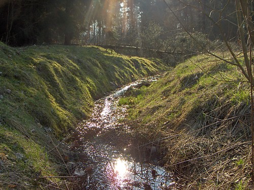 wiosna