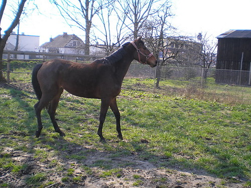 W caej okazaoci:)
