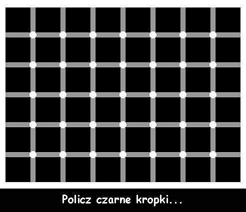 KLOPKI 