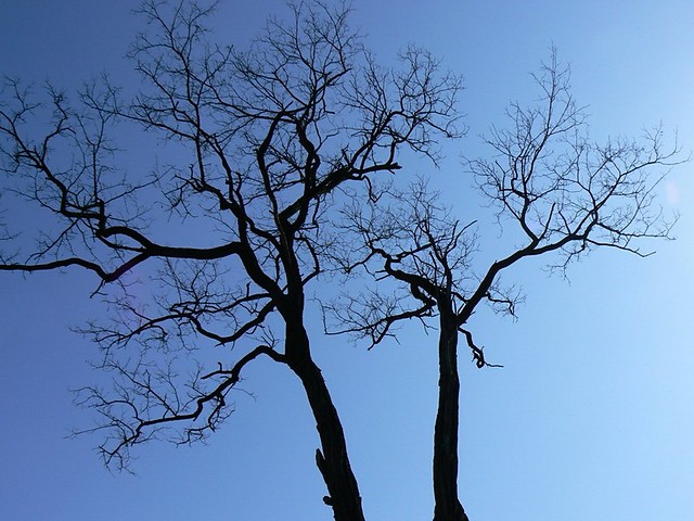 ...niebjasko...