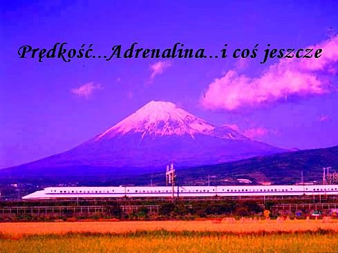 Speed i dogonic.....