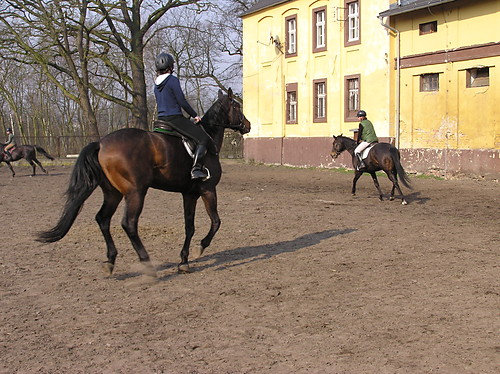 zycie w zawieszeniu