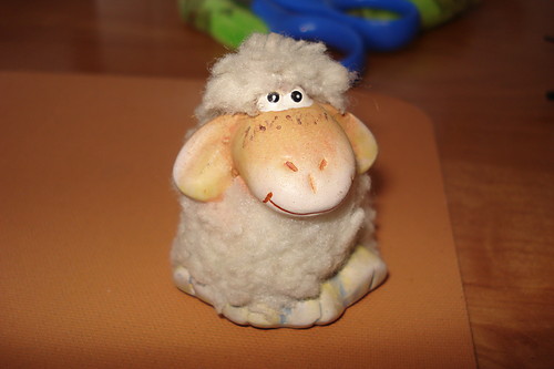 OwIeCzKa