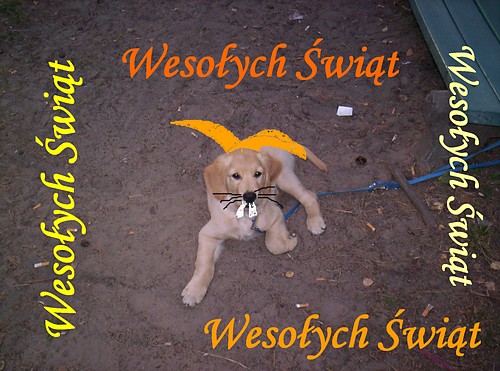 Wesoych wit