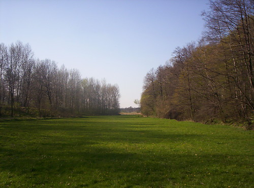 Sosina