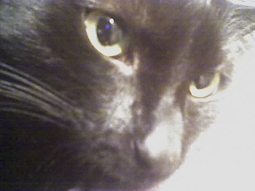 moj slodzi kocurek;p