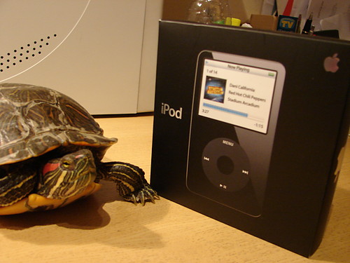 Ipod. Nie dla wolnych!